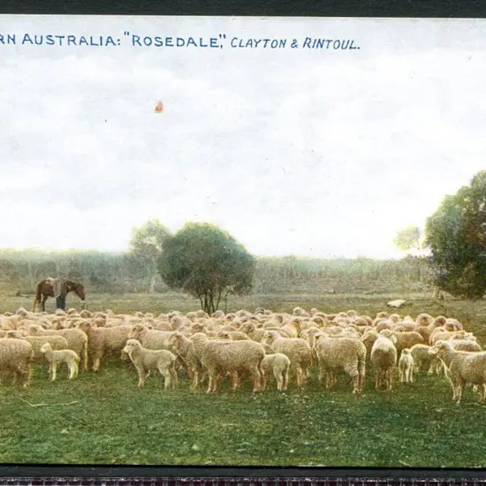 "Western Australia: "Rosedale", colour Clayton & ...