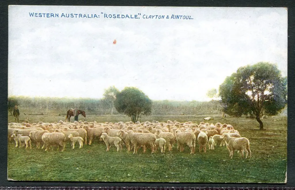 "Western Australia: Brunswick State Farm, Pure ... Image 1++