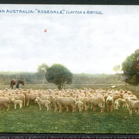 "Western Australia: Brunswick State Farm, Pure ...