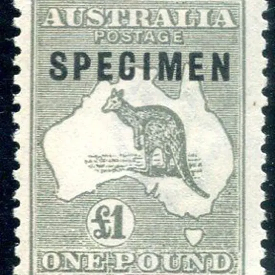 £1 grey MUH ovptd "SPECIMEN" type C. Light ...