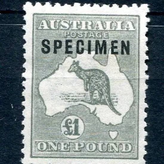 £1 grey ovptd "SPECIMEN" type C. MNG. ACSC 53Xb, ...