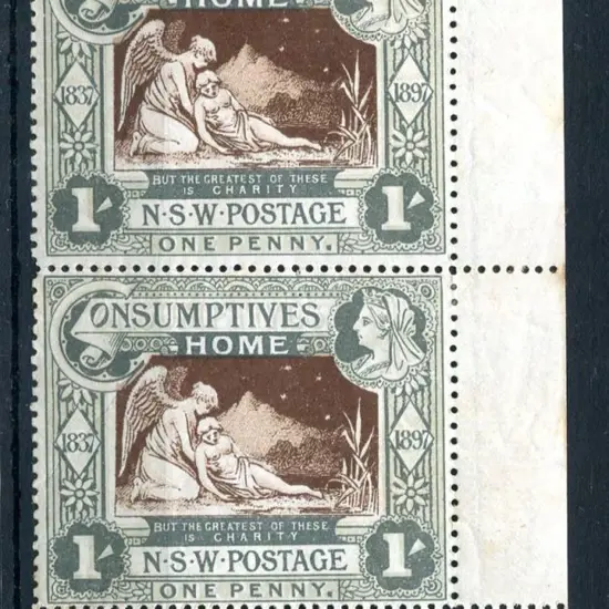 1897 1/- Diamond Jubilee/Consumptive Homes charity ...