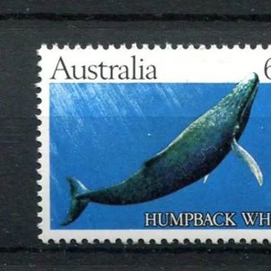 1982 60c Humpback Whale trial printing with solid ...