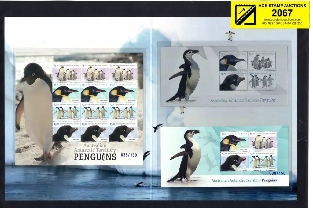 2022 Penguins Silver M/S pack containing two ... Image 1++