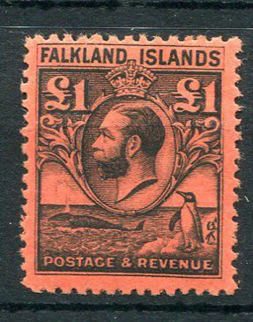 Falkland Is 1929/37 £1 black on red KGV. Fine MLH ... Image 1++