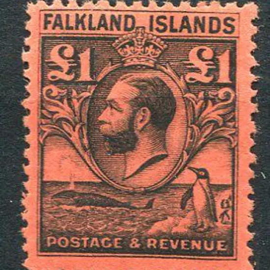 Falkland Is 1929/37 £1 black on red KGV. Fine MLH ...