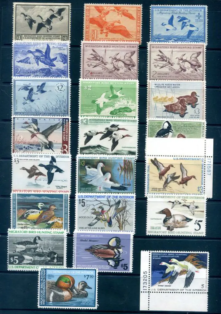 USA Hunting Permit (duck) stamps MLH (MUH from ... Image 1++