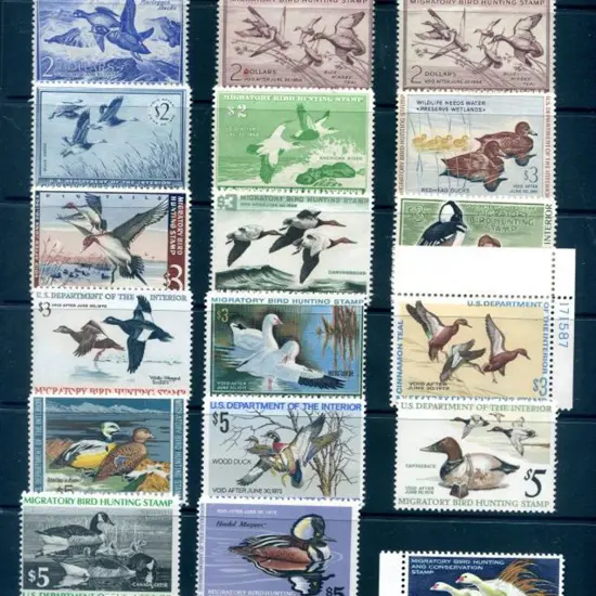 USA Hunting Permit (duck) stamps MLH (MUH from ...