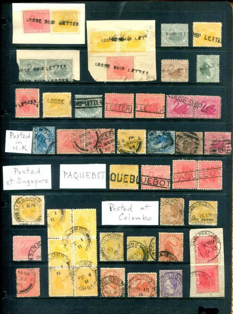 Postmarks Swans with a variety of "other" postal ... Image 1++