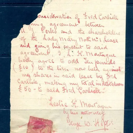 1894 (5th Apr) 1d carmine-red swan postage stamp ...