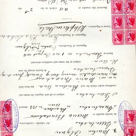 1899 (2nd Aug) 1d carmine-red W Crown A wmk swans ...