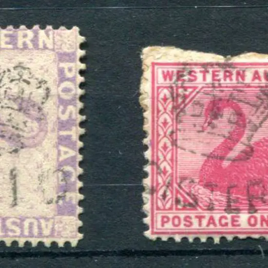 Paid "Crown" on 6d lilac swan, Cr/Ca perf.14 & ...