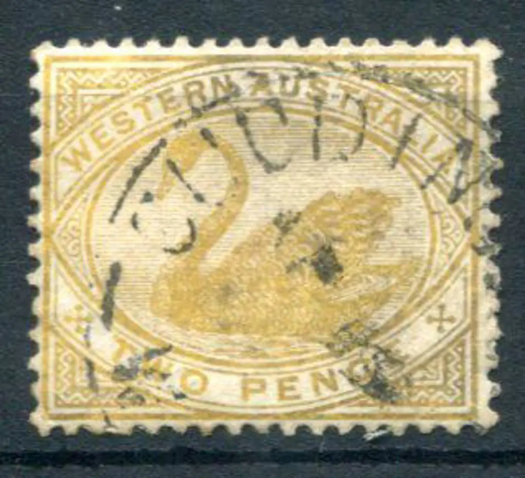 Cuddingwarra 3b on 2d yellow swan with indistinct ... Image 1++