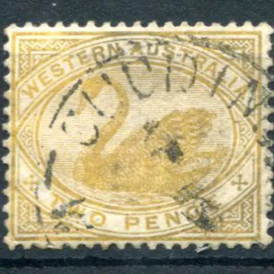 Cuddingwarra 3b on 2d yellow swan with indistinct ...