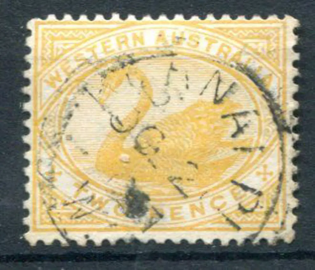 Kurnalpi 3b Variable strike on 2d yellow swan ... Image 1++