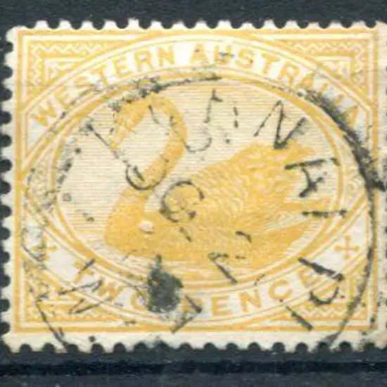 Kurnalpi 3b Variable strike on 2d yellow swan ...