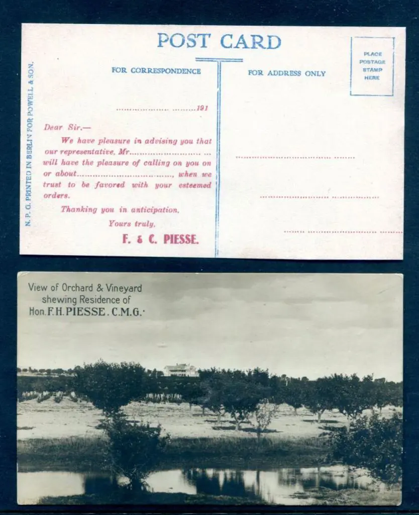 "View of Orchard & Vineyard shewing Residence of ... Image 1++