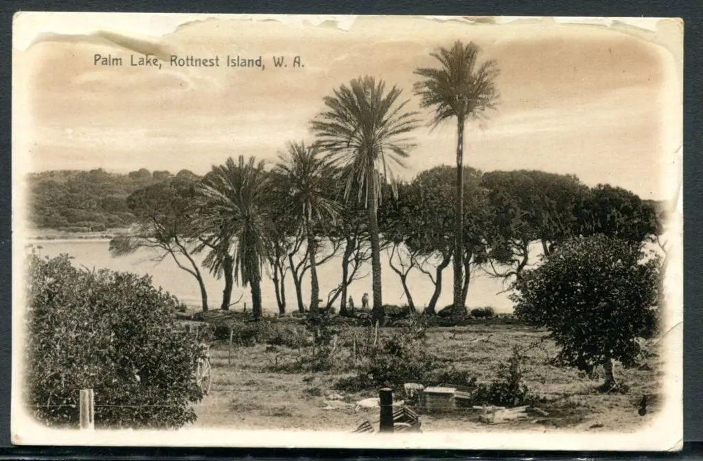 "Palm Lake, Rottnest Island, W.A." Fremantle ... Image 1++