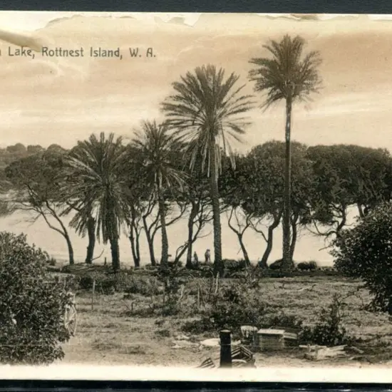 "Palm Lake, Rottnest Island, W.A." Fremantle ...