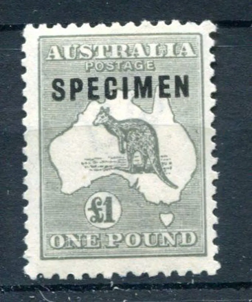 £1 grey ovptd "SPECIMEN" type C. MUH. ACSC 53xb, ... Image 1++
