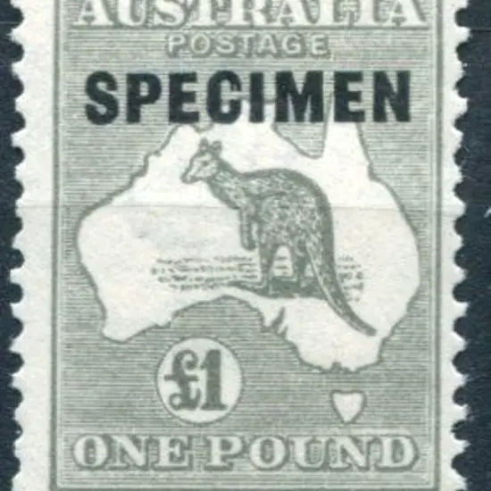 £1 deep grey ovptd "SPECIMEN" type D. Fine MUH, ...