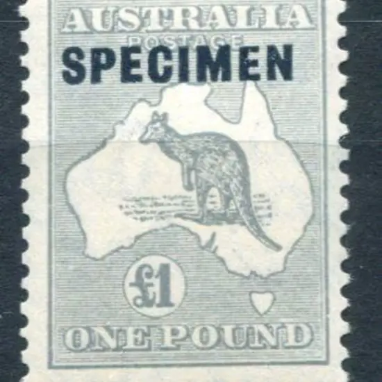 1931-47 CofA £1 grey ovptd "SPECIMEN" type D. Fine ...