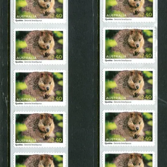 2023 $2.40 Quokka S/A definitive FORGERIES. These ...