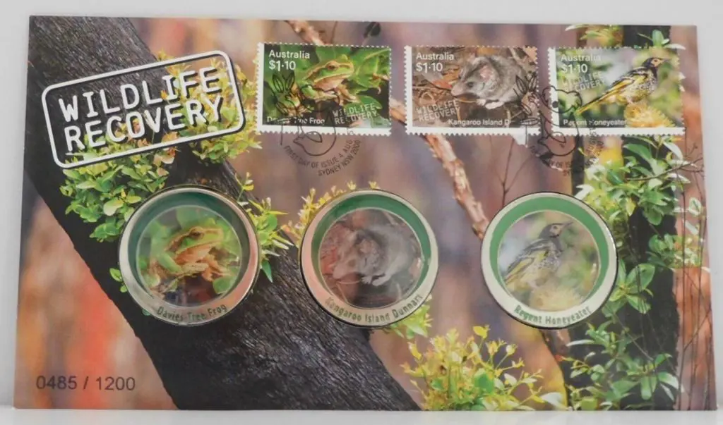 2020 (4th Aug) Wildlife Recovery with 3 different ... Image 1++