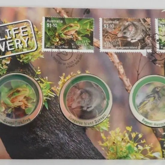 2020 (4th Aug) Wildlife Recovery with 3 different ...