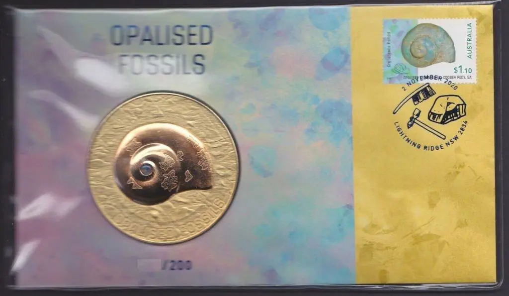 2020 (2nd Nov) Opalised Fossils with medallion ... Image 1++