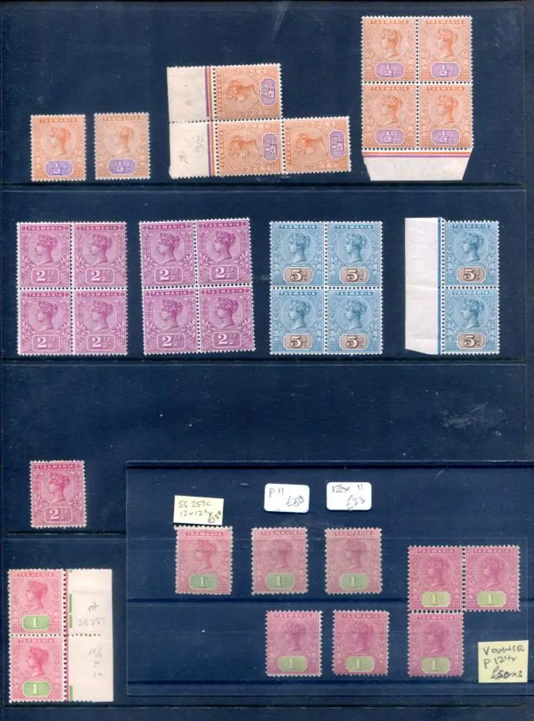 1892 ½d, 2½d & 5d in MUH blocks of 4 with extra ... Image 1++