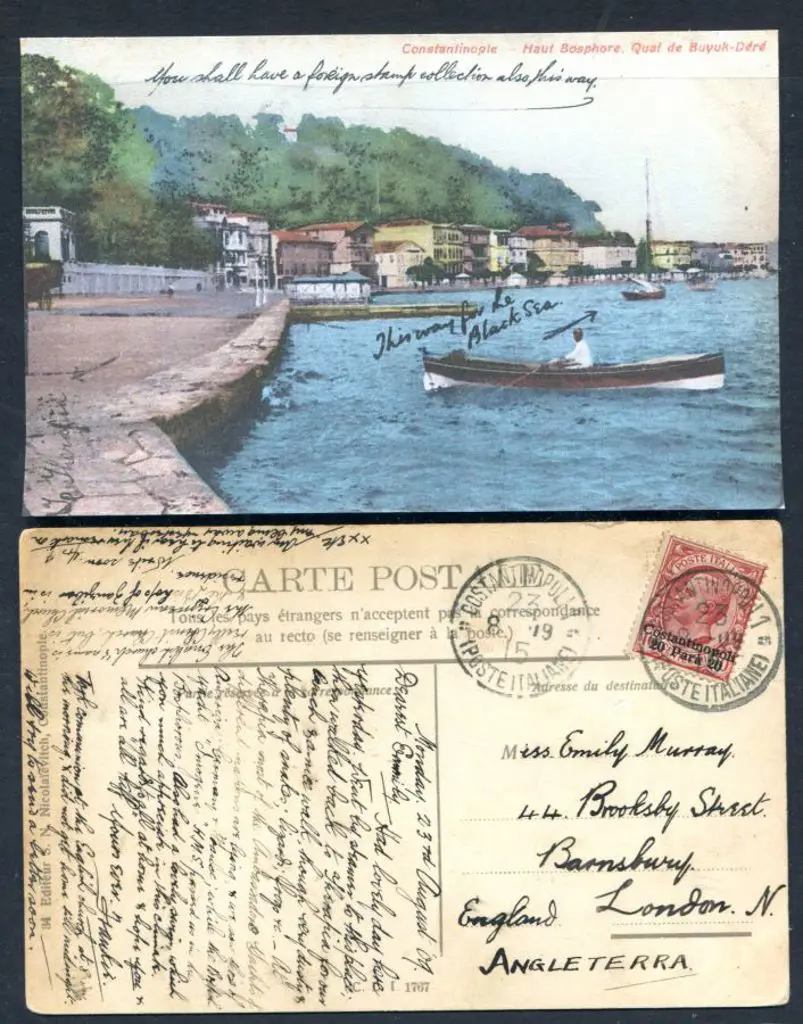 Italy-P.O's Abroad 1915 (8th Aug) "Constantinople ... Image 1++