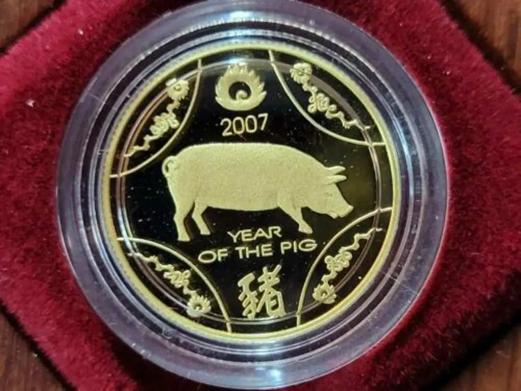 2007 $10 Year of the Pig 1/10oz gold Proof Coin in ... Image 1++