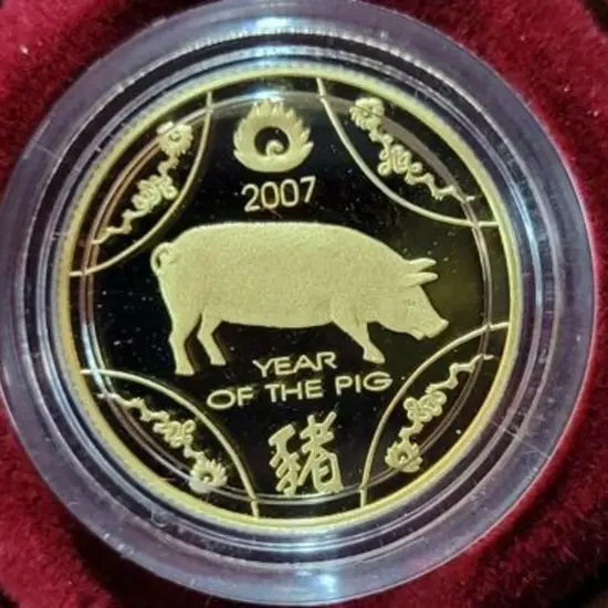 2007 $10 Year of the Pig 1/10oz gold Proof Coin in ...