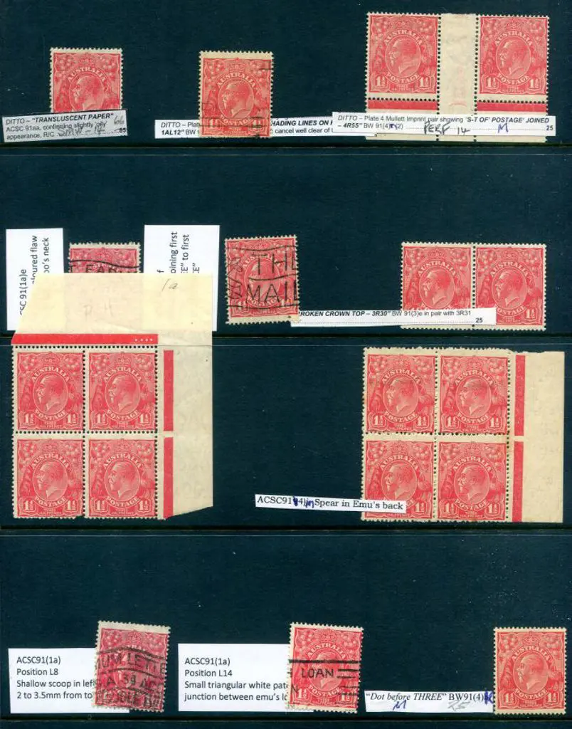 KGV 1½d red Die II, SMW Perf.14 MUH/MLH selection ... Image 1++