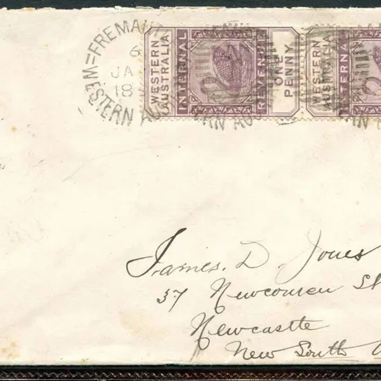 1895 (7th Jan) Fremantle to NSW cover with 1d ...