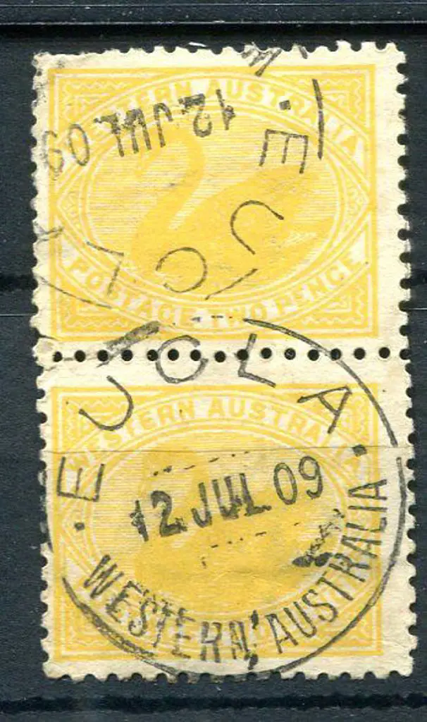 Eucla A26 Bullseye strike on 2d yellow swans pair ... Image 1++