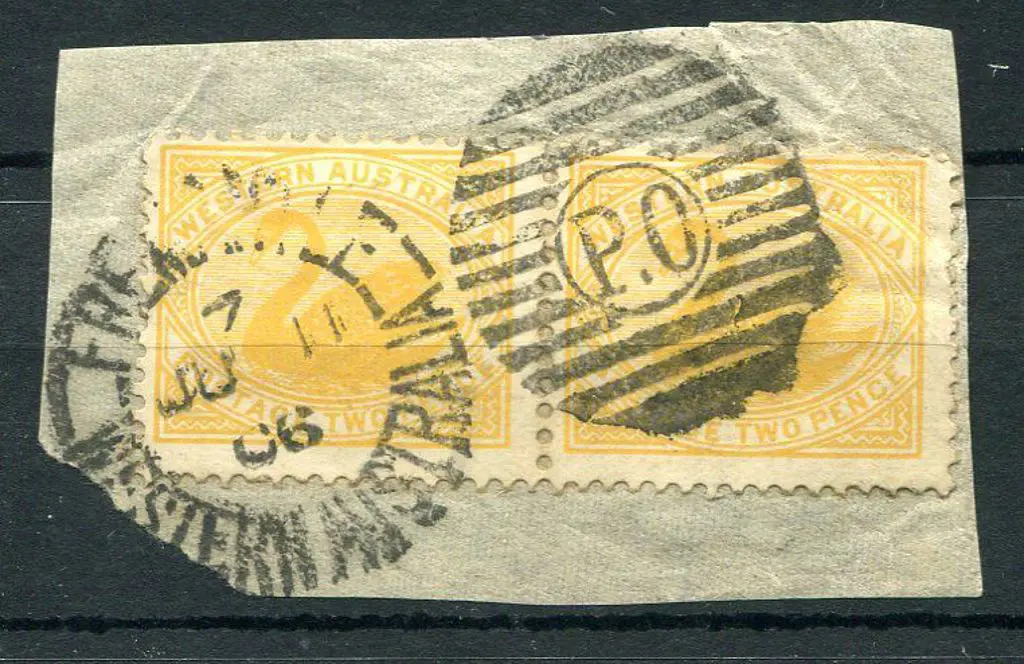 Fremantle DxPO-d index 7 duplex on 2d yellow swans ... Image 1++