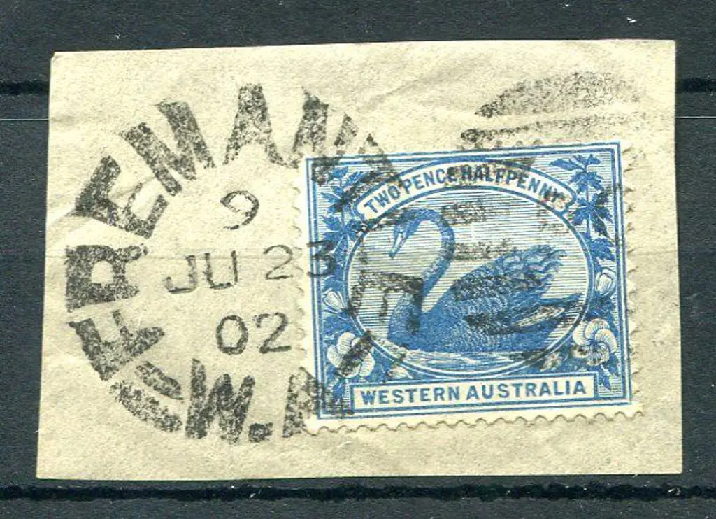 Fremantle DxPO-c index 9 duplex on 2½d blue swan ... Image 1++