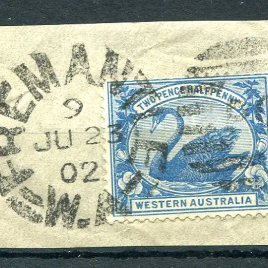 Fremantle DxPO-c index 9 duplex on 2½d blue swan ...