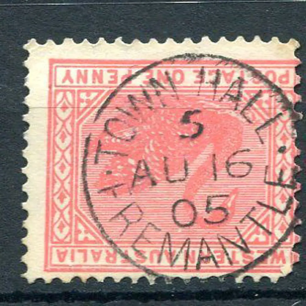 Fremantle Town Hall CDS 5 index 5 Stunning 100% ... Image 1++