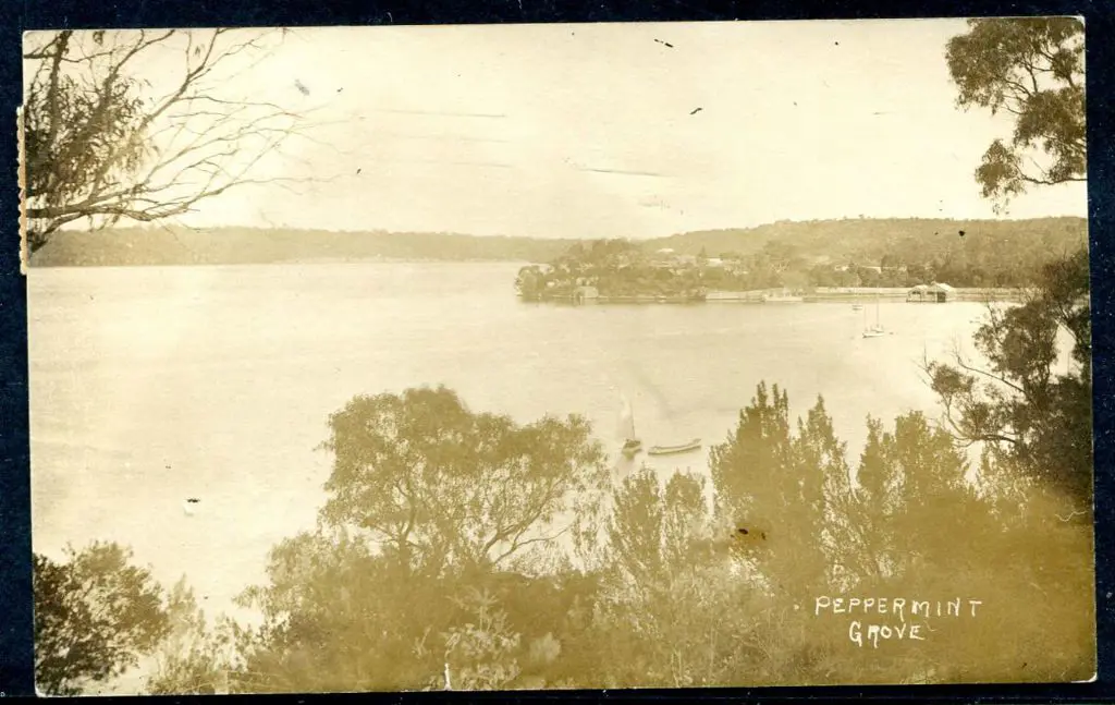 "Peppermint Grove" b&w photographic card published ... Image 1++