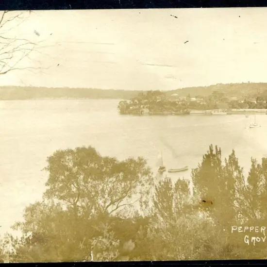 "Peppermint Grove" b&w photographic card published ...