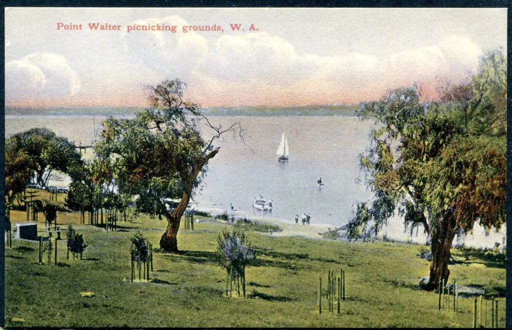 "Point Walter picnicking grounds, W.A." Mayrhofer ... Image 1++