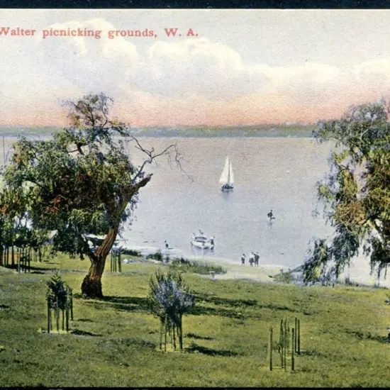 "Point Walter picnicking grounds, W.A." Mayrhofer ...