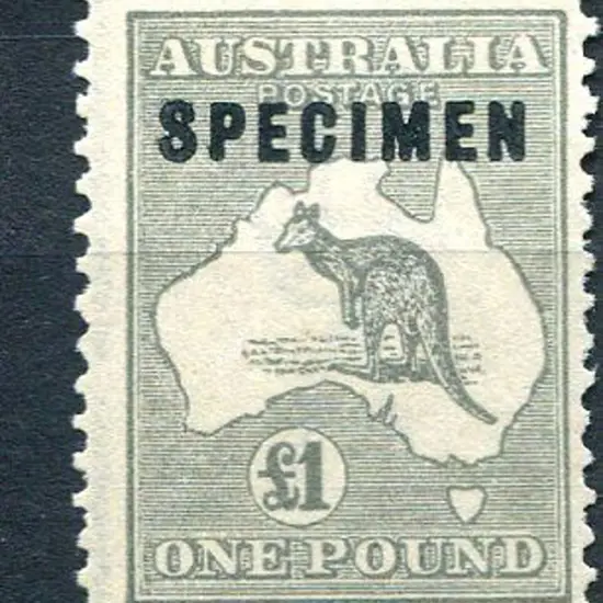£1 grey ovptd "SPECIMEN" type B. MNG, centred to ...
