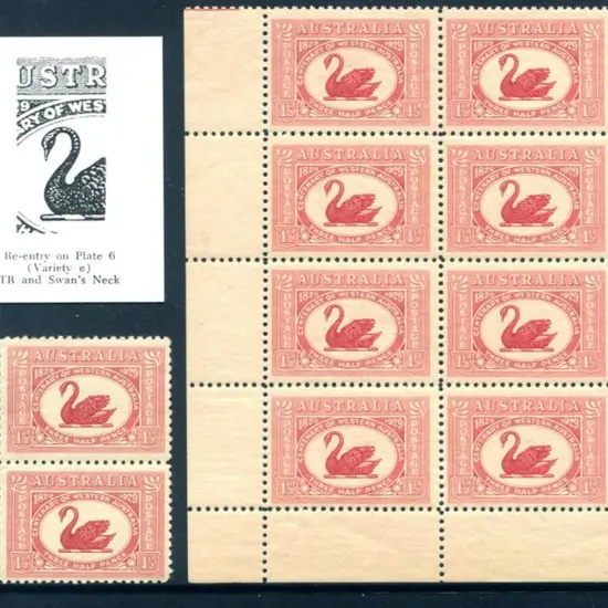 1929 1½d WA Cent "TR" & neck double re-entry ...