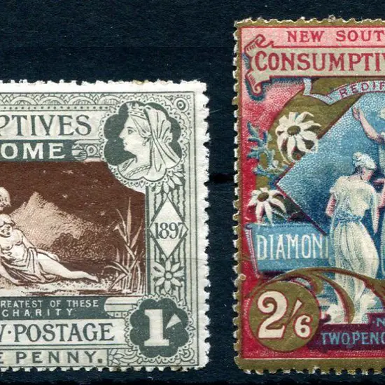 1897 Diamond Jubilee/Consumptive Homes charity ...