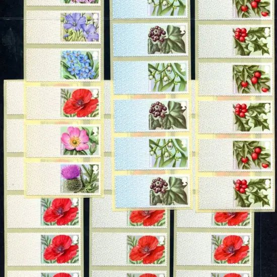 2014 "British Flora" 2nd series & 3rd series, the ...
