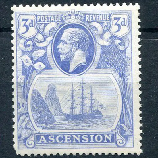 Ascension 1924 3d blue Badge with “cleft rock" ...
